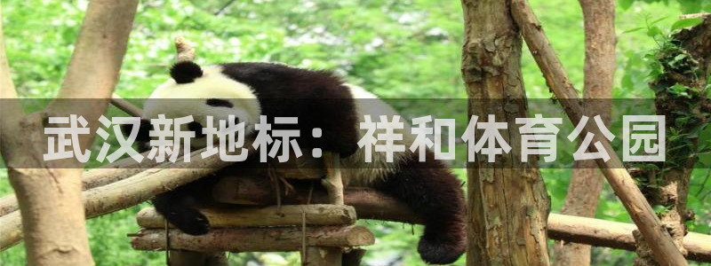 MK体育官网下载平台注册流程视频:武汉新地标:祥和体育公园